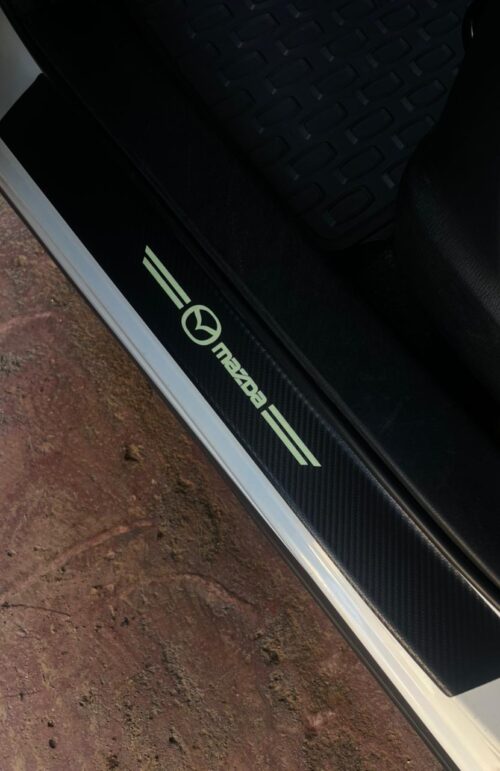 Car Door Step Protector